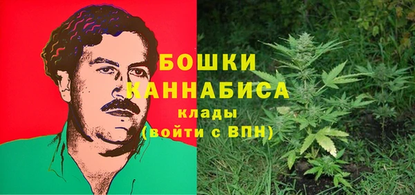 spice Бугульма