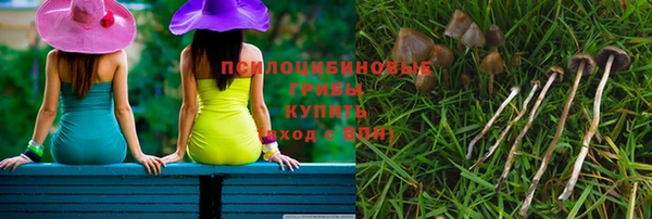 spice Бугульма
