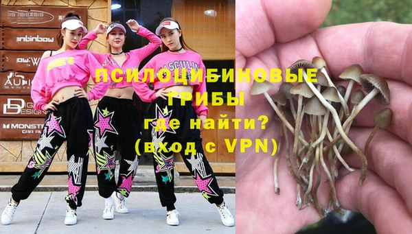 МДПВ Бронницы
