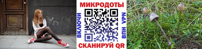 хочу наркоту Ижевск mega ТОР Псилоцибиновые грибы ЛСД