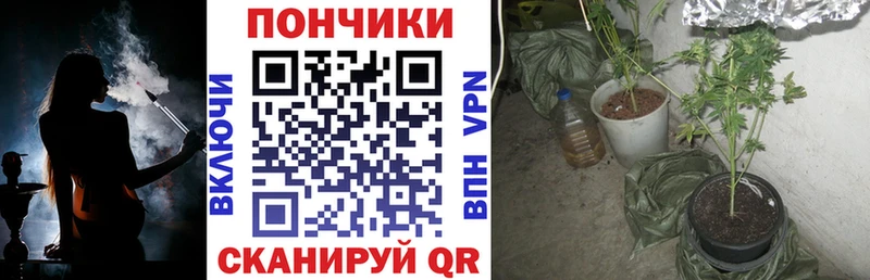 Конопля планчик Ижевск